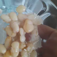 لوبیا سفید۱۶۰ت