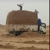 خوراک دام کاه فله ، نیشکر باگاس فله