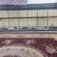راپله نردبان|ابزارآلات|اهواز, گلستان|دیوار