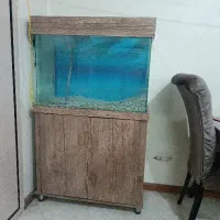 آکواریوم شیشه خم