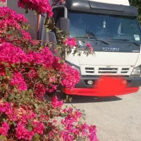 باربری تخصصی با 30 سال سابقه درخشان|خدمات حمل و نقل|تهران, جردن|دیوار