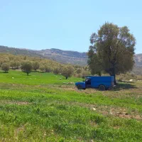 نیسـان آبـی