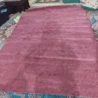 پالاز موکت۲در۳نو خوش رنگ|فرش|کرمان, |دیوار