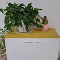 میزنهارخوری دونفره وجاکفشی|میز و صندلی غذاخوری|قائن, |دیوار