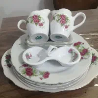 10 تکه گل سرخی قدیمی