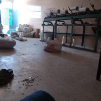 نخ برگردان