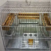 قفس ارمان  جادونی برنجی و گالوانیزه قفس بازاری