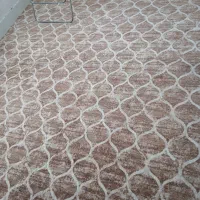 پالاز موکت فقط دوماه استفاده کردم|موکت|یاسوج, |دیوار