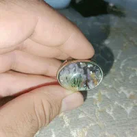 انگشتر ناب شجر فردوس