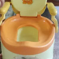 صندلی شست و شو و قصری