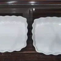 مرغ خوری سرو و پذیرایی