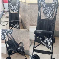 کالسکه دلیجان