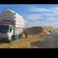 کاه گندم گاوی درشت و گوسفندی نرم موجوده|حیوانات مزرعه|مبارکه, |دیوار