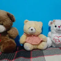 عروسکای پولیشی بامزه