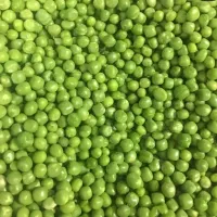 نخودسبز،باقالی ولوبیا