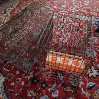 قفس پرنده