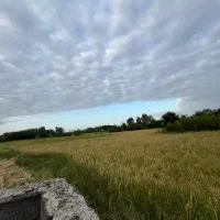 خونه شالیزار6700متری محدوده رشت شرایطی(آناملک)|فروش خانه و ویلا|رشت, حومه رشت|دیوار