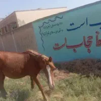 اندیکا شهر آبژدان شهرک یاسر