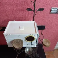 لانه و محل زندگی پرنده|لوازم جانبی حیوانات|رشت, حمیدیان|دیوار