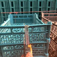 وین پلاست تولید کننده سبدمیوه|ظروف نگهدارنده، پلاستیکی، یکبارمصرف|هشتگرد, تهران دشت|دیوار