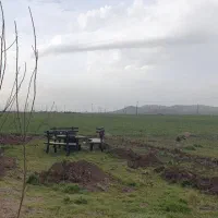 زمین کشاورزی با امتیاز برق و چاه بصورت اقرارنامه|فروش زمین و ملک کلنگی|ماهیدشت, |دیوار