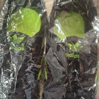 کفش ادیداس مشکی سبز|کیف، کفش، کمربند|گلبهار, شهر جدید گلبهار|دیوار