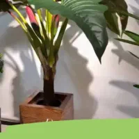 درخچه دوتنه|گل مصنوعی|تهران, مشیریه|دیوار