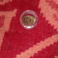 فروش نیم سکه دویست زیرتابلو