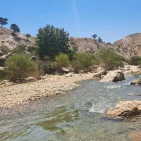 تور یک روزه حسنی پاچر|تور و چارتر|شیراز, تاچارا|دیوار