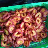 اسلایس الو انجلا لوکس و کالیفرنیا لوکس استنلی|عمده‌فروشی|تهران, ترمینال جنوب|دیوار