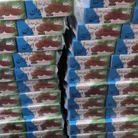 خرمای شیرازی ۱۰۰ هزار