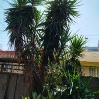 فروش خانه ویلای ۲ خوابه در منظریه۲۰۰متری