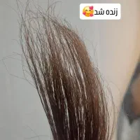 کاشت ناخن ،،کفسابی وپدیکور،موخوره گیری|خدمات آرایشگری و زیبایی|ساوه, |دیوار