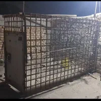 تور کفتر  بادرب کله