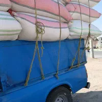 کاه گندم دیمی