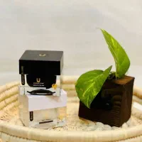 کرم روز و شب