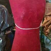 مانکن سوزن خور