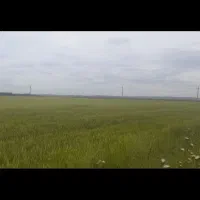 فروش سه و نیم هکتار زمین بر جاده اسفالت|فروش دفتر صنعتی، کشاورزی، تجاری|اسلام آباد, |دیوار