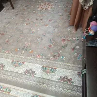 فزش ۱۲متری نو