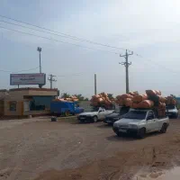 یونجه سبز|عمدهفروشی|شوشتر, |دیوار