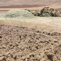 فروش 4تن یونجه خرمانکوب شده