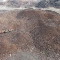 کود حیوانی برافروش گذاشتم سرویس دومیلیون