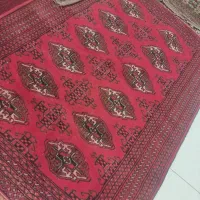 زرونیم های ترکمن