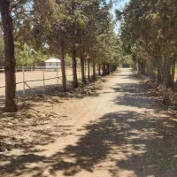 اجاره باکس و پانسیون  اسب در کردان