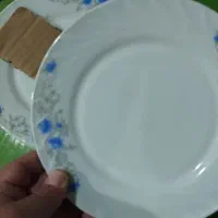 آرکوپال رویال فرانسه 18تکه|ظروف سرو و پذیرایی|زاهدان, |دیوار