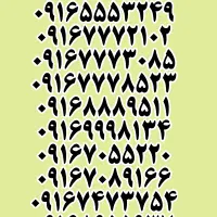 ۰۹۱۶.۸۸۸.۹۵۱۱