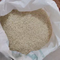 چمپا خوش عطر و خوش پخت