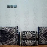 دوجفت پشتی ودوجفت پشتی گرد