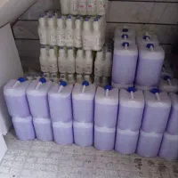 شوینده عرشیا