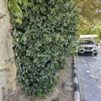 ویلایی۲۳۰ متر زمین  - ۱۳۰ متر زیربنا - صدف - معلم